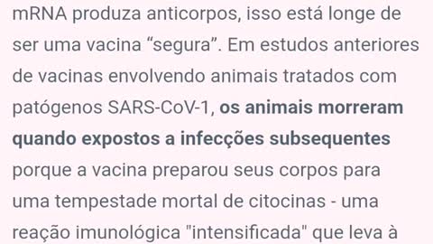 Eis algo sem volta