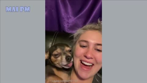 Funny Dog with Girl