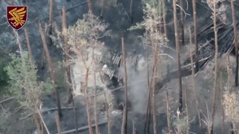 🔥 Ukraine Russia War | 95th Amphibious Assault Brigade Strikes Russians | RCF