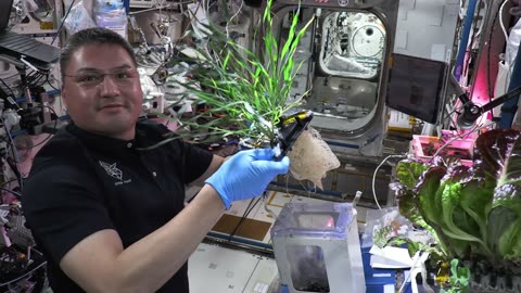 NASA's spaceX crew-7 Mission to the space station (official trailer)