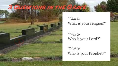 #Questions in Grave Islam