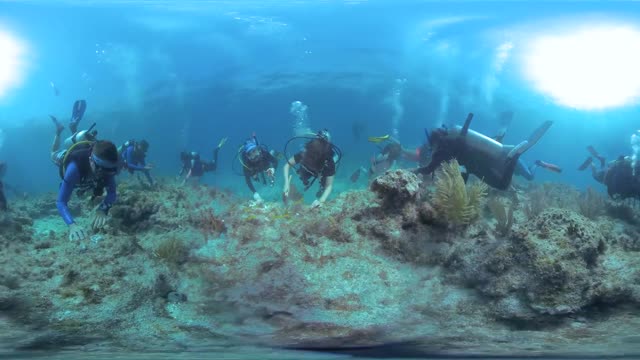 Explore the Blue: 360° Coral Restoration