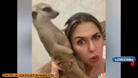 🐶Funny Animal Videos 2021😊(Pets & Entertainment Videos)