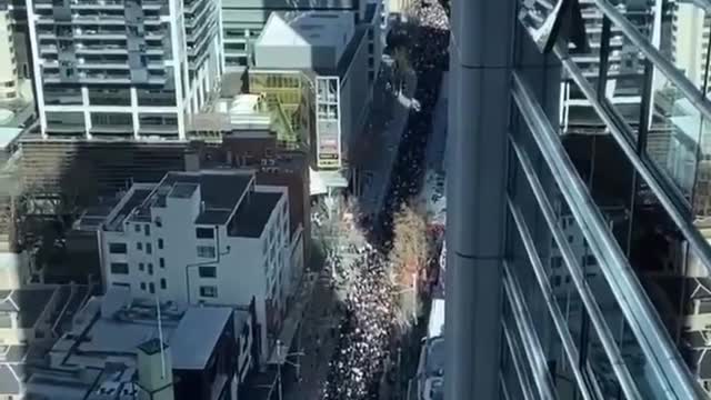 Sydney March July 24