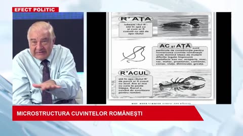 Efect politic (Global News România; 06.08.2024)2