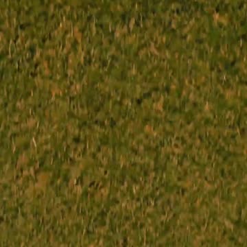 003 Ever heard of the 33 Life Path! It’s not just any number