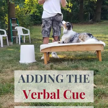 Cable Adding the verbal cue clip 9 rumble