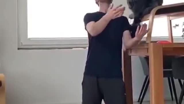 A trust given by a dog to his owner