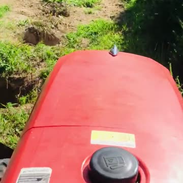 Mowing near spruce trees using a kubota