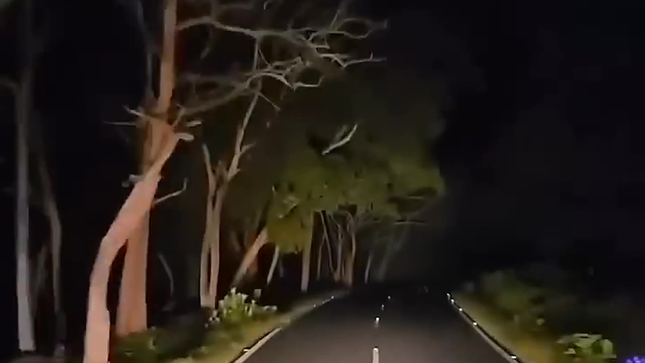 ooty to mysore road night 🌙