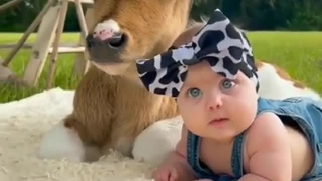 Cute Baby and Cow | Fun2rumble