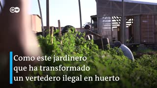 Cambian basurero por un huerto
