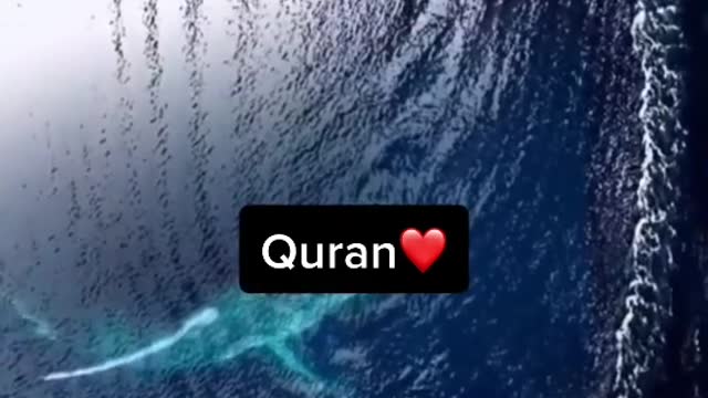 Best video and pictures