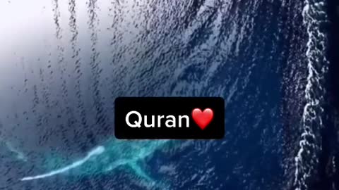 Best video and pictures
