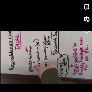 Terry Stop & Frisk brief overview