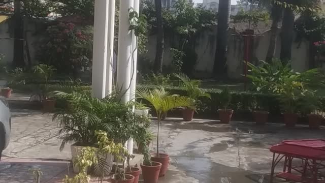 My home beautiful