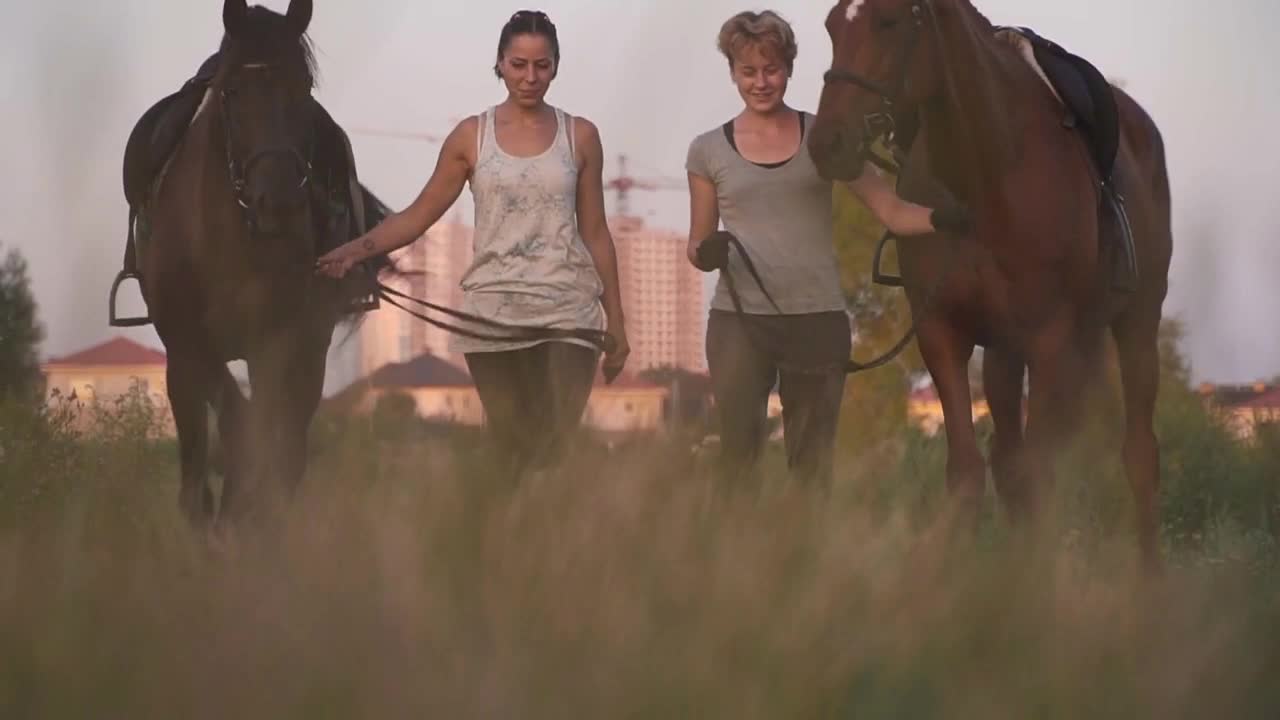 Two girls are driving two horses on a field road