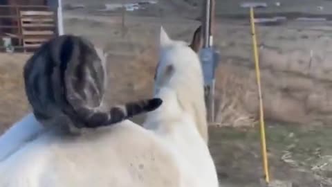 Two people who are good friends