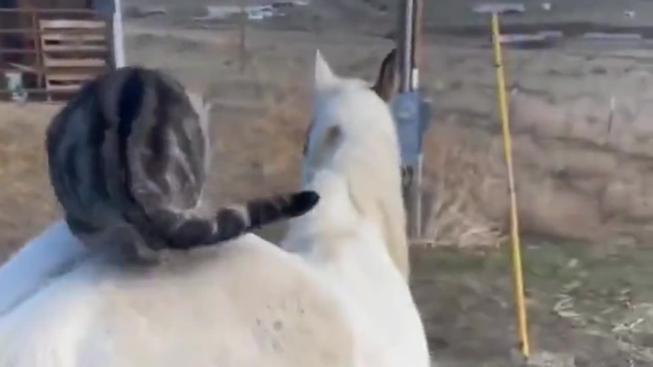 Two people who are good friends