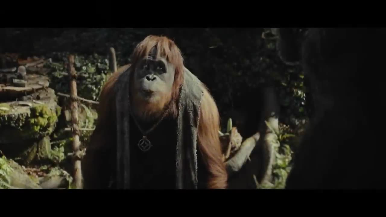 Kingdom of the Planet of the Apes / Trailer