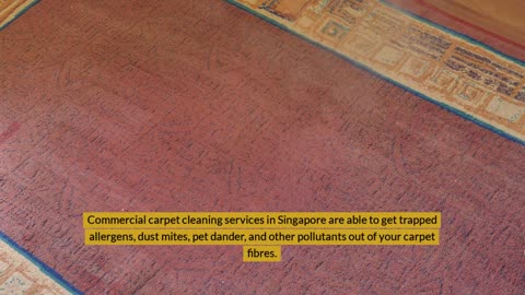 10 Reasons to Invest in Commercial Carpet Cleaning Services