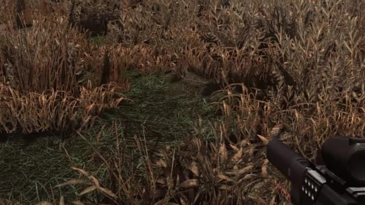 oq acontece quando atacado por mutante de Chernobyl?