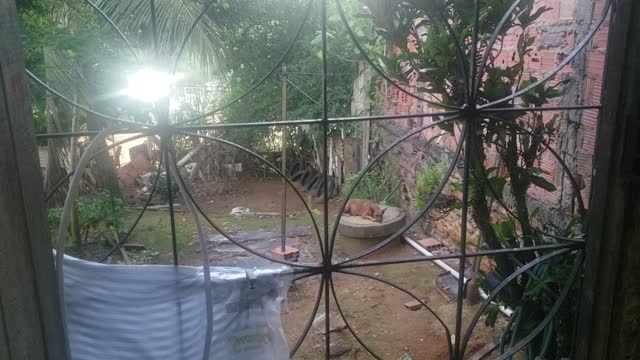 QUINTAL