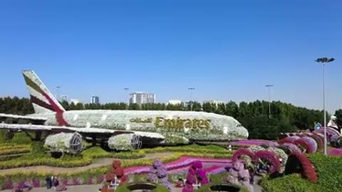 miracle garden Dubai