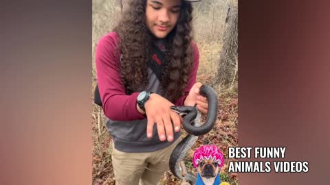 BEST Funny Animals Videos 2021 - Funny Pets