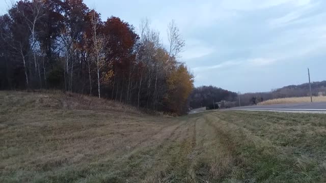 Psalm 5 Message Bible