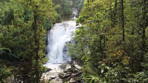 Beautiful Waterfall inside the jungle.