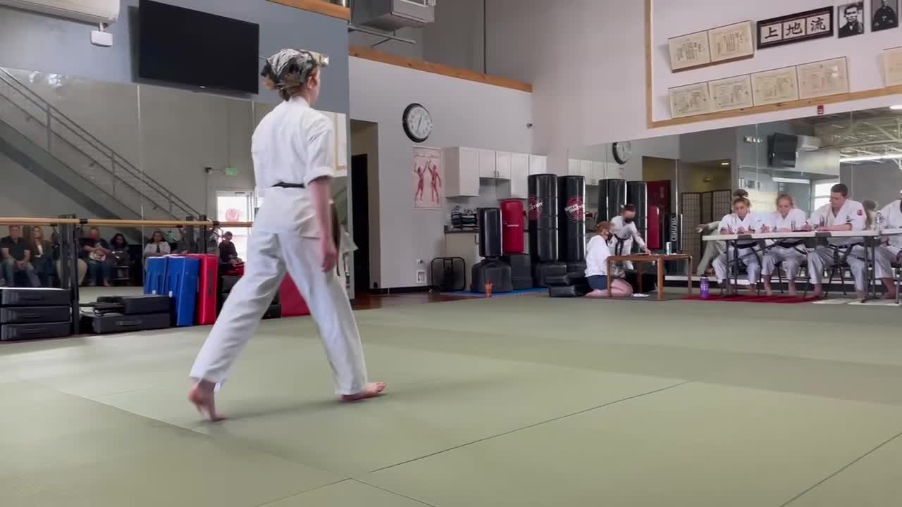 Black Belt - 4