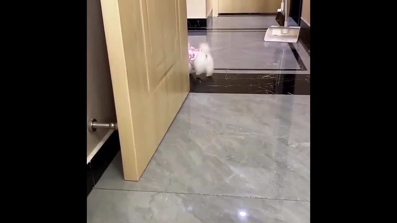 what is the master doing