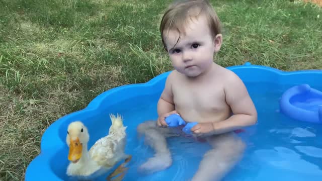 Funny baby reaction to duckling in the pool