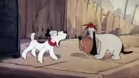 Droopy Dog - 01 - Dumb Hounded (1943)