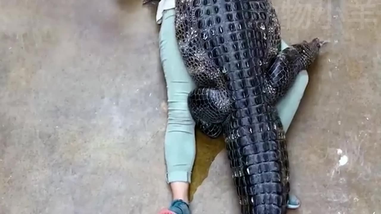 Living on the wild side with scaly friend