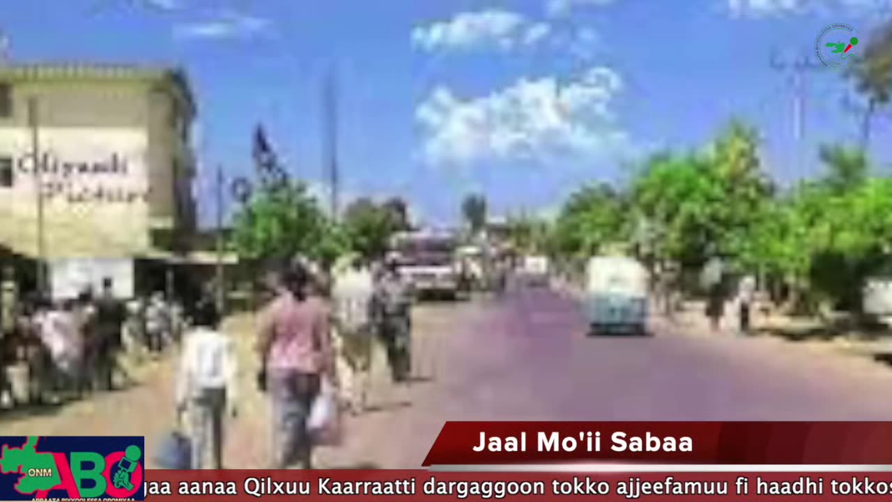 Oduu Waaree ONM-ABO Adoolessa 19-2024 itti dhiyaadhaa!