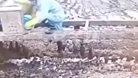 Another Machine Casualty