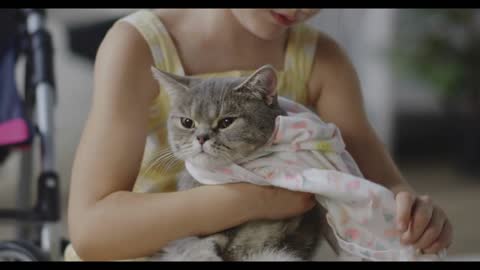 Close up shot of girl putting clothes on cat