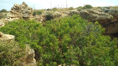 Besuch einer Höhle auf Malta