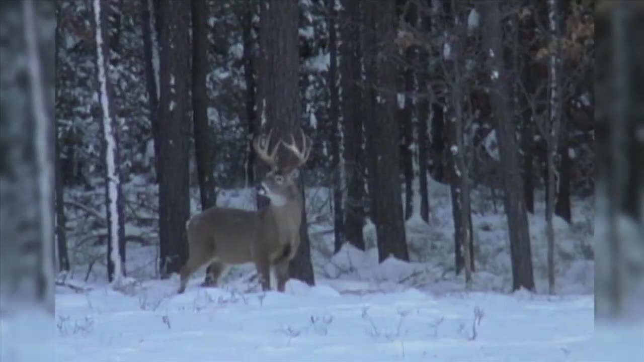 Camera Cuts Out on Roger Raglin Hunt!