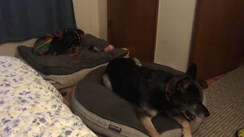 FIONA HOME IN VANTUCKY 12.2019