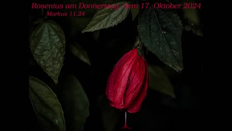 Rosenius am Donnerstag, dem 17. Oktober 2024 zu Markus 11,24