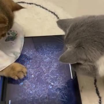 How to play a video game