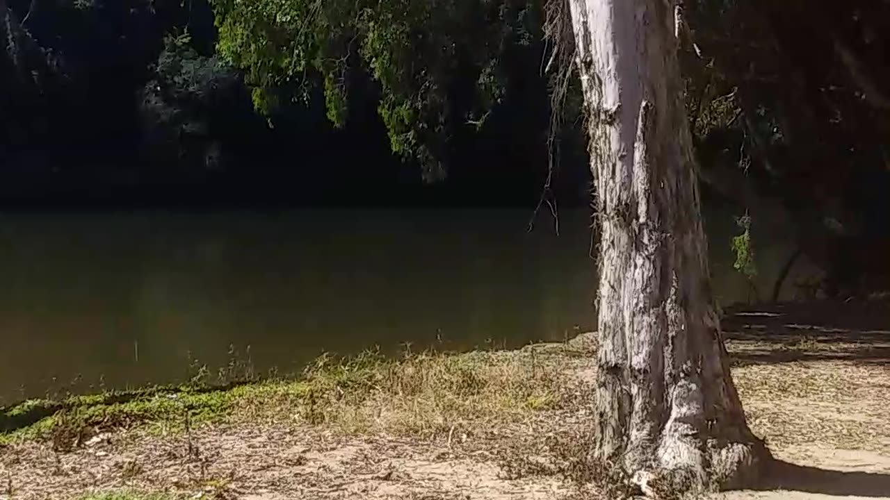 14.8.2024 The Barron River, Kuranda