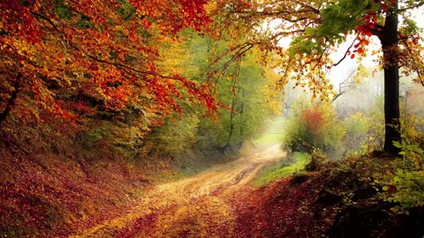 Music For Mabon-Autumn Equinox