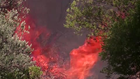 Smoke looms over Athens as firefighters battle wildfires