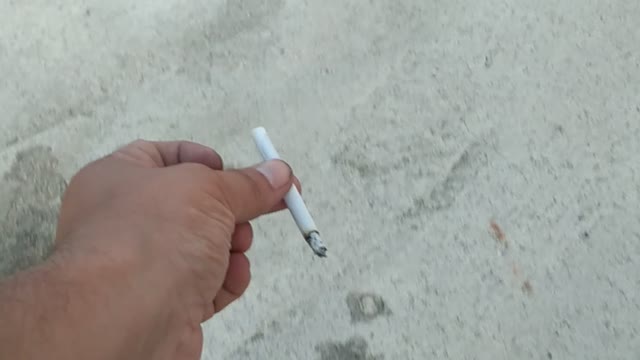 My funny cats love jamp and smoke