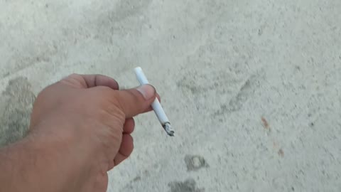 My funny cats love jamp and smoke