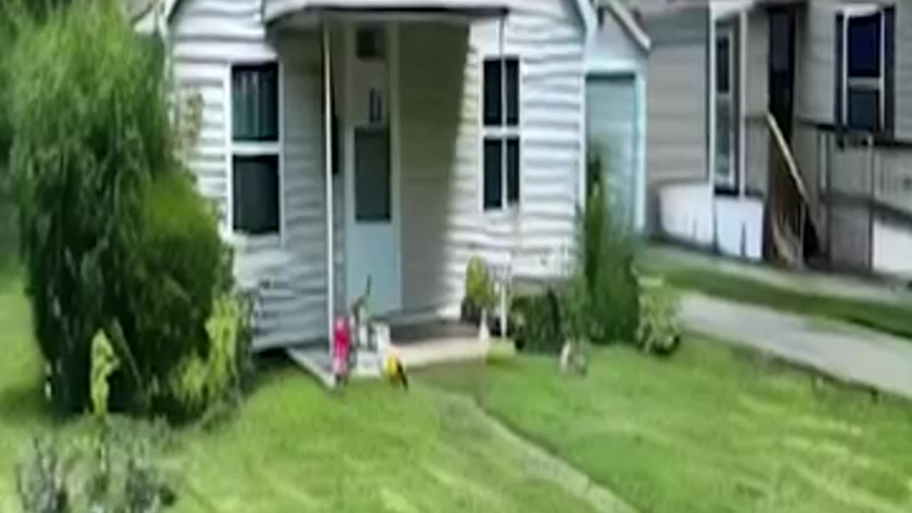 Sonya Massey: Springfield, IL